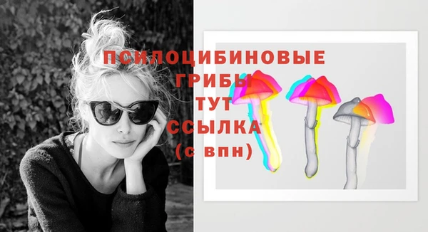 молекула духа Алексин