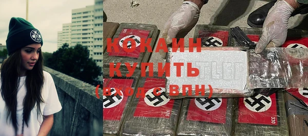 винт Алзамай