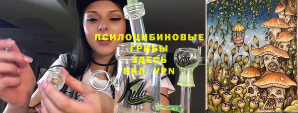 гидра Алексеевка