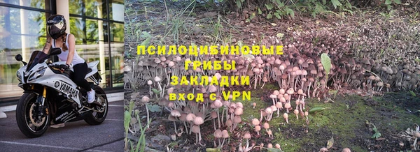 гидра Алексеевка