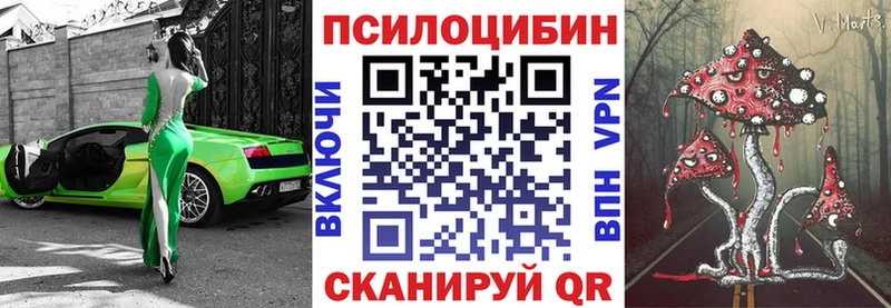 Галлюциногенные грибы Cubensis  блэк спрут онион  Гуково  где продают  