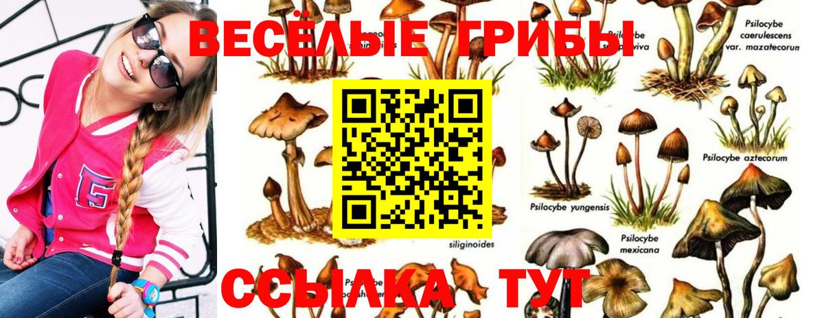 Гуково  Псилоцибиновые грибы Cubensis  Вход с VPN 