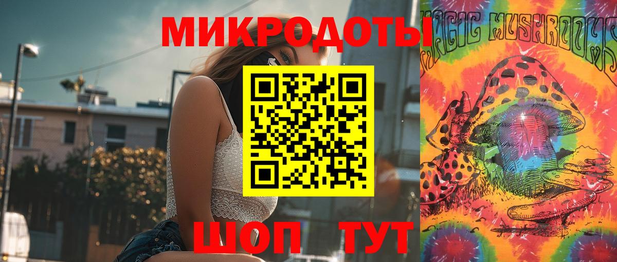 Галлюциногенные грибы Psilocybine cubensis Гуково